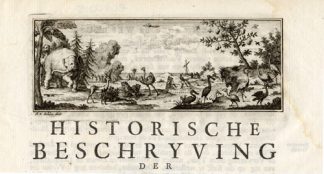 Antique Print-AFRICAN WILD LIFE-ELEPHANT-ANIMALS-HUNT-NEGROES-Schley-1747