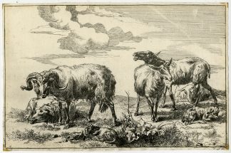 Rare Antique Print-ANIMAL-SHEEP-Berchem-ca. 1690