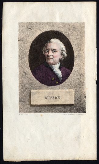 Antique Print-COMTE DE BUFFON-GEORGES LOUIS LECLERC-Langlume-Adam-c. 1830