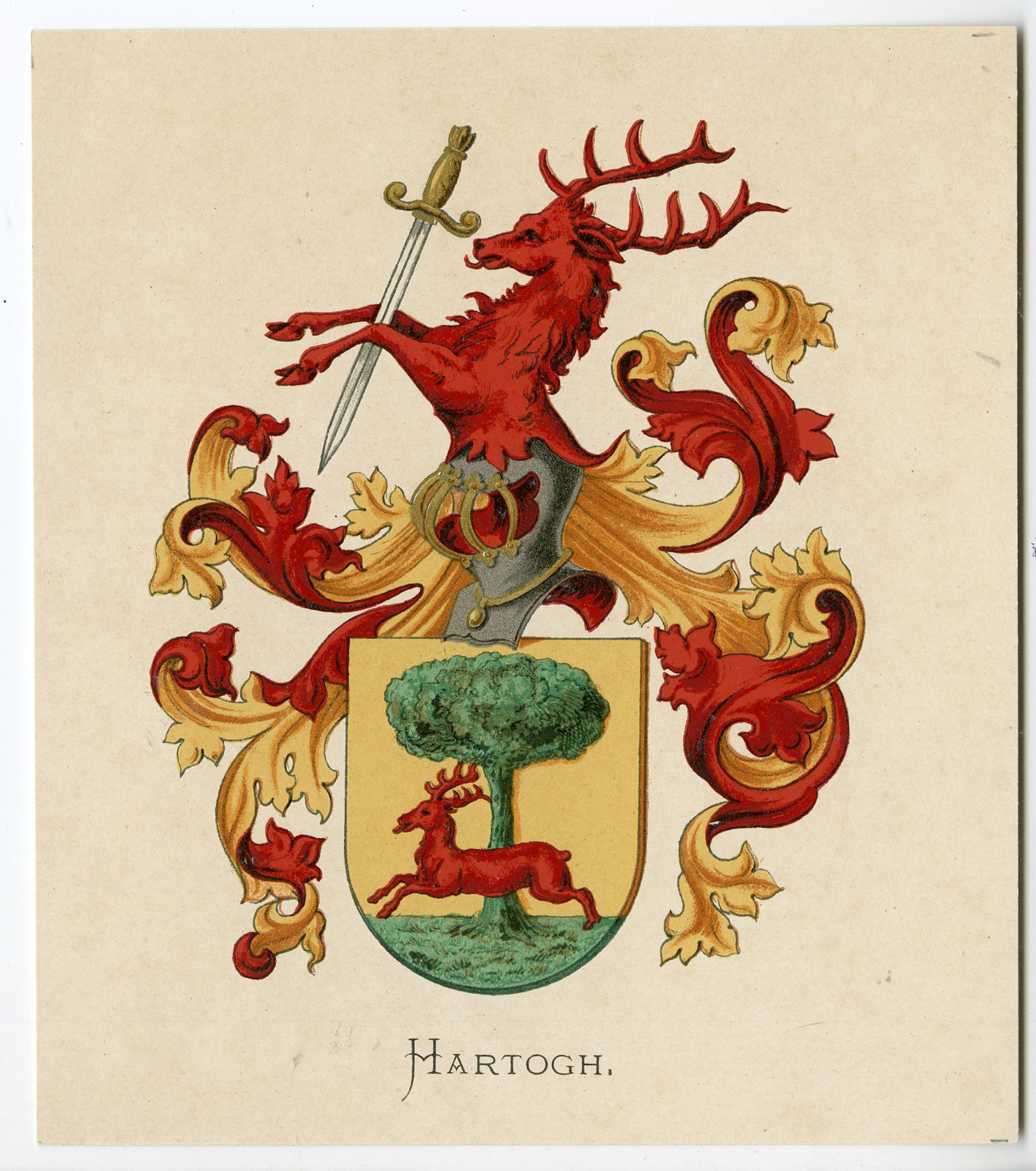 Pco 05288 416x470 Antique Print-HARTOGH-COAT OF ARMS-FAMILY CREST-Vorsterman-Wenning-1885