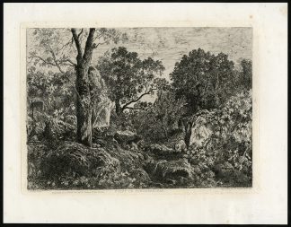 Antique Master Print-FORET DE FONTAINBLEAU-FOREST-St. Etienne-Ernest-ca. 1890
