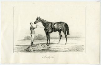 Antique Print-HORSE-RIDER-MUSTAPHA-JOURNAL DES HARAS-Anonymous-1848