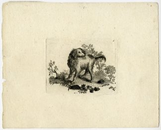 Antique Print-DOG-PL. 6-Anonymous-c. 1780