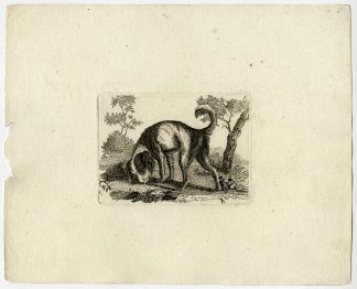 Antique Print-DOG-SEARCH-PL. 5-Anonymous-c. 1780