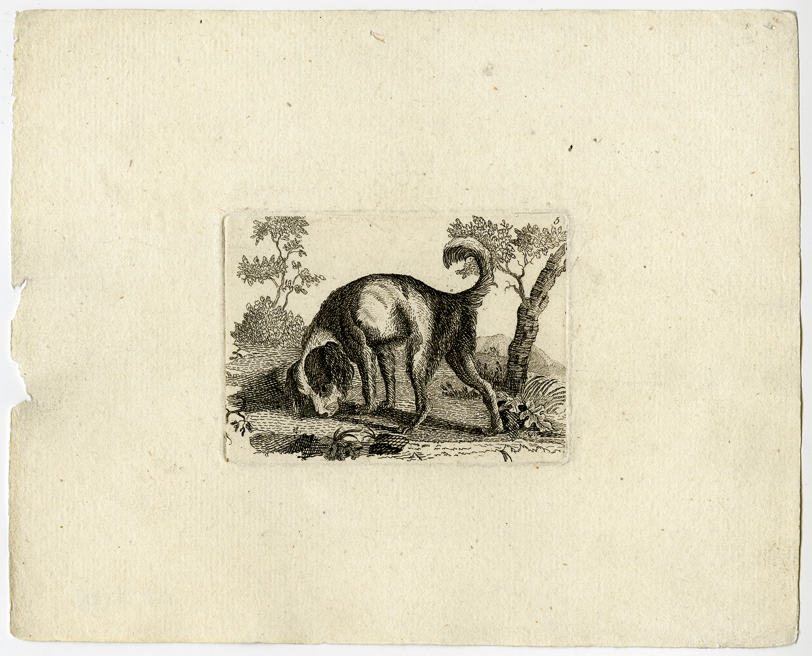 , Antique Print-DOG-SEARCH-PL. 5-Anonymous-c. 1780, Pictura Antique Prints