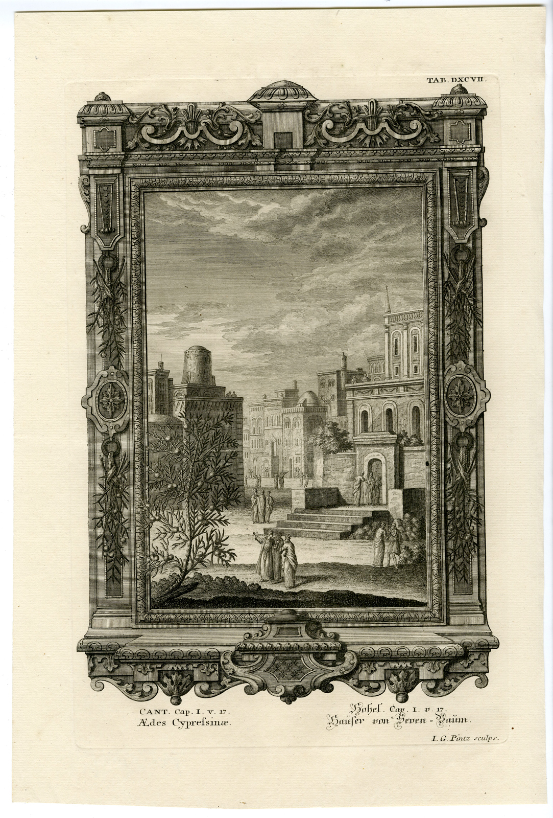 , Antique Print-HOUSES MADE OF CEDAR WOOD-TAB.DXCVII-Scheuchzer-c.1731, Pictura Antique Prints