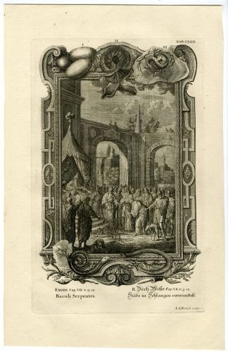 Antique Print-AARON-STAFF-SNAKE-MOSES-MIRACLE-TAB.CXXII-Scheuchzer-c.1731
