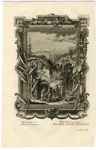 Antique Print-SALT HERBS-FOOD-BROOM BUSH-JOB-TAB.DXXVII-Scheuchzer-c.1731