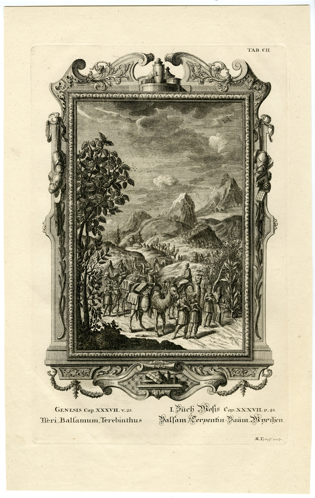 , Antique Print-CARAVAN-CAMELS-GILEAD-EGYPT-SPICES-TAB.CII-Scheuchzer-c.1731, Pictura Antique Prints