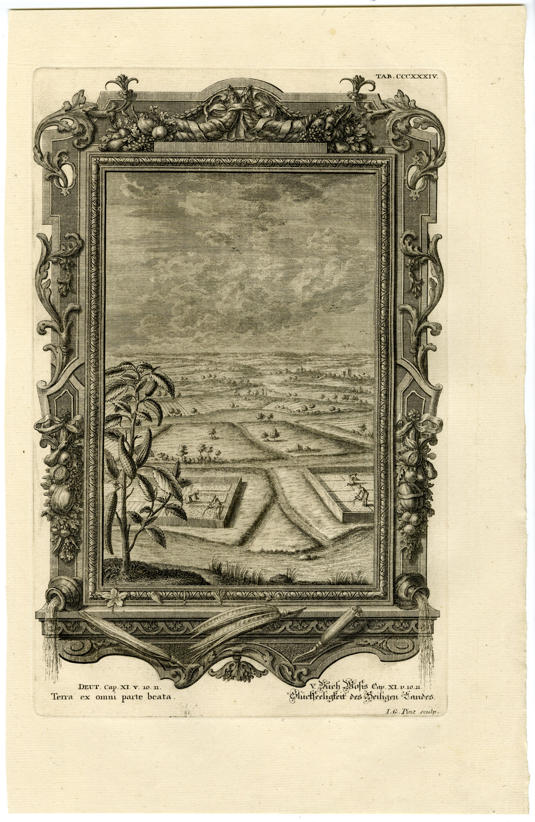 , Antique Print-ISRAEL-HOLY LAND-MILK AND HONEY-TAB.CCCXXXIV-Scheuchzer-c.1731, Pictura Antique Prints
