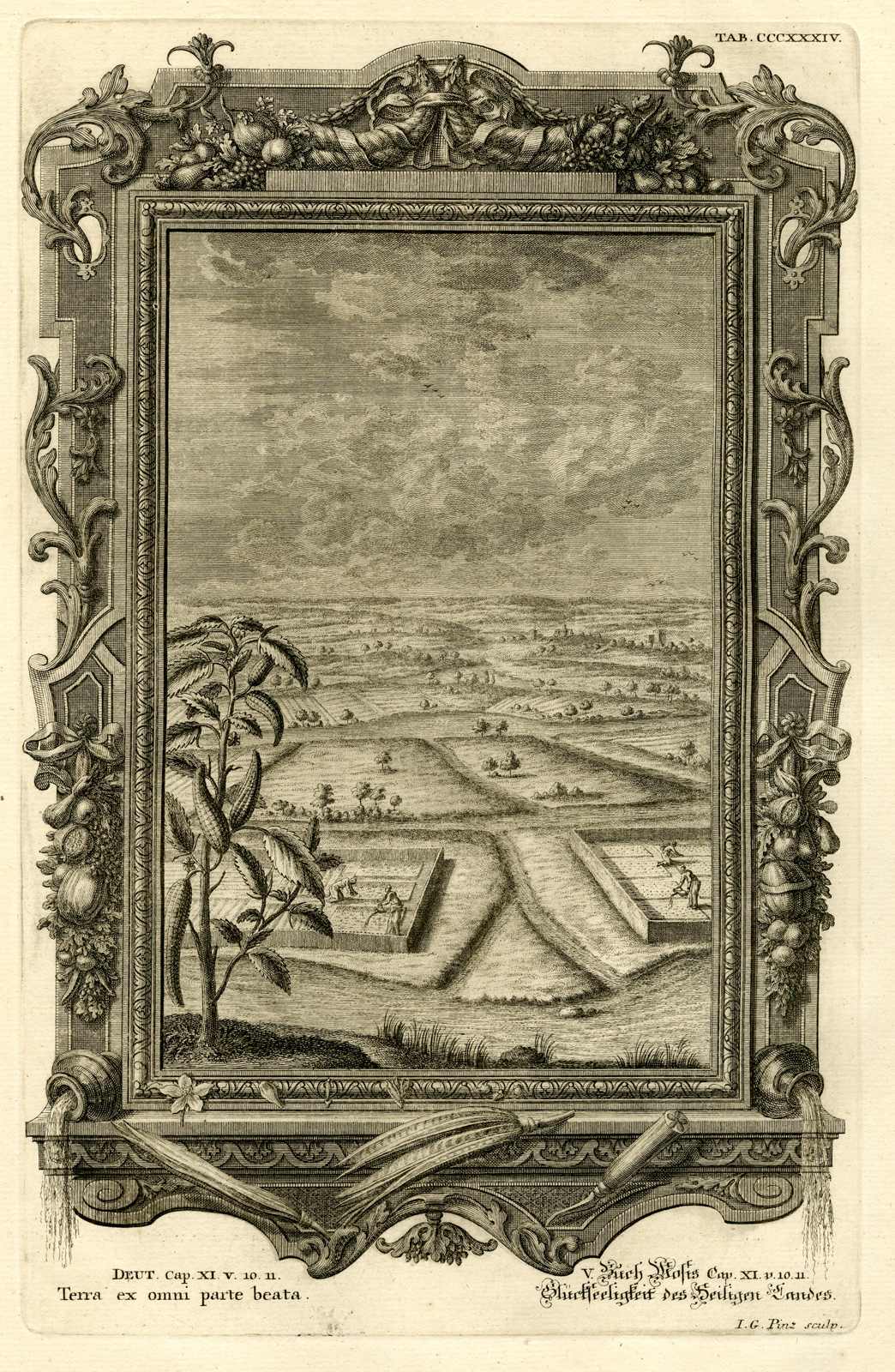 , Antique Print-ISRAEL-HOLY LAND-MILK AND HONEY-TAB.CCCXXXIV-Scheuchzer-c.1731, Pictura Antique Prints