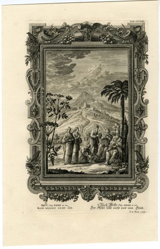 Antique Print-POISONOUS GRAPES-BITTERNESS-SODOM-TAB.CCCLXI-Scheuchzer-c.1731