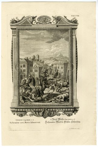 Antique Print-SIMON-LEVI-CRUELTY-CATTLE-MAIMING-TAB.CVIII-Scheuchzer-c.1731