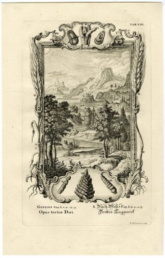 Antique Print-THE THIRD DAY OF CREATION-GENESIS-TREES-TAB.VIII-Scheuchzer-c.1731