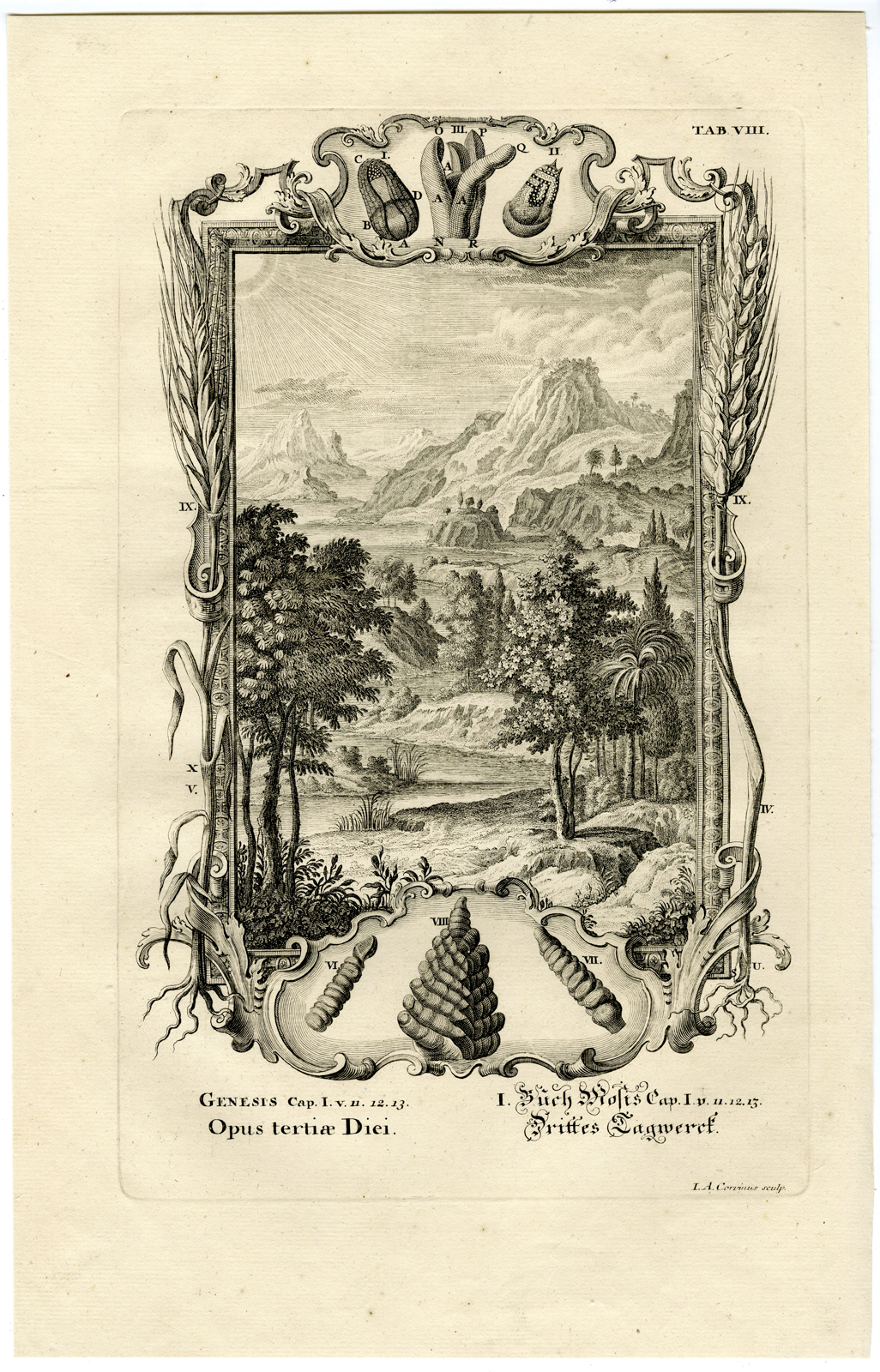 Pcom 11212 416x649 Antique Print-THE THIRD DAY OF CREATION-GENESIS-TREES-TAB.VIII-Scheuchzer-c.1731