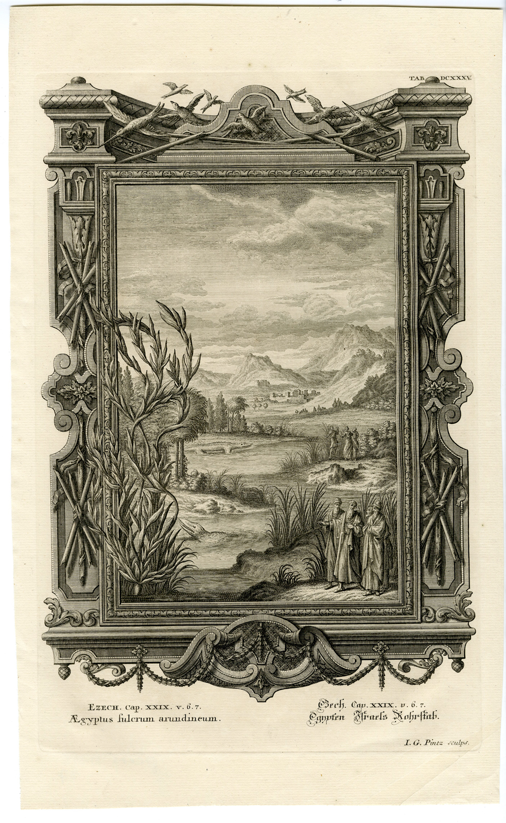 , Antique Print-EGYPT-STAFF OF REED-ISRAEL-TAB.DCXXXV-Scheuchzer-c.1731, Pictura Antique Prints