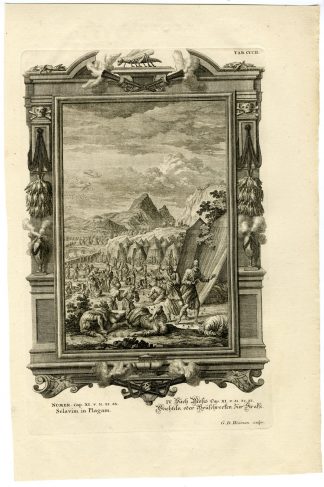 Antique Print-PUNISHMENT-QUAILS-LOCUSTS-PLAGUE-TAB.CCCII-Scheuchzer-c.1731