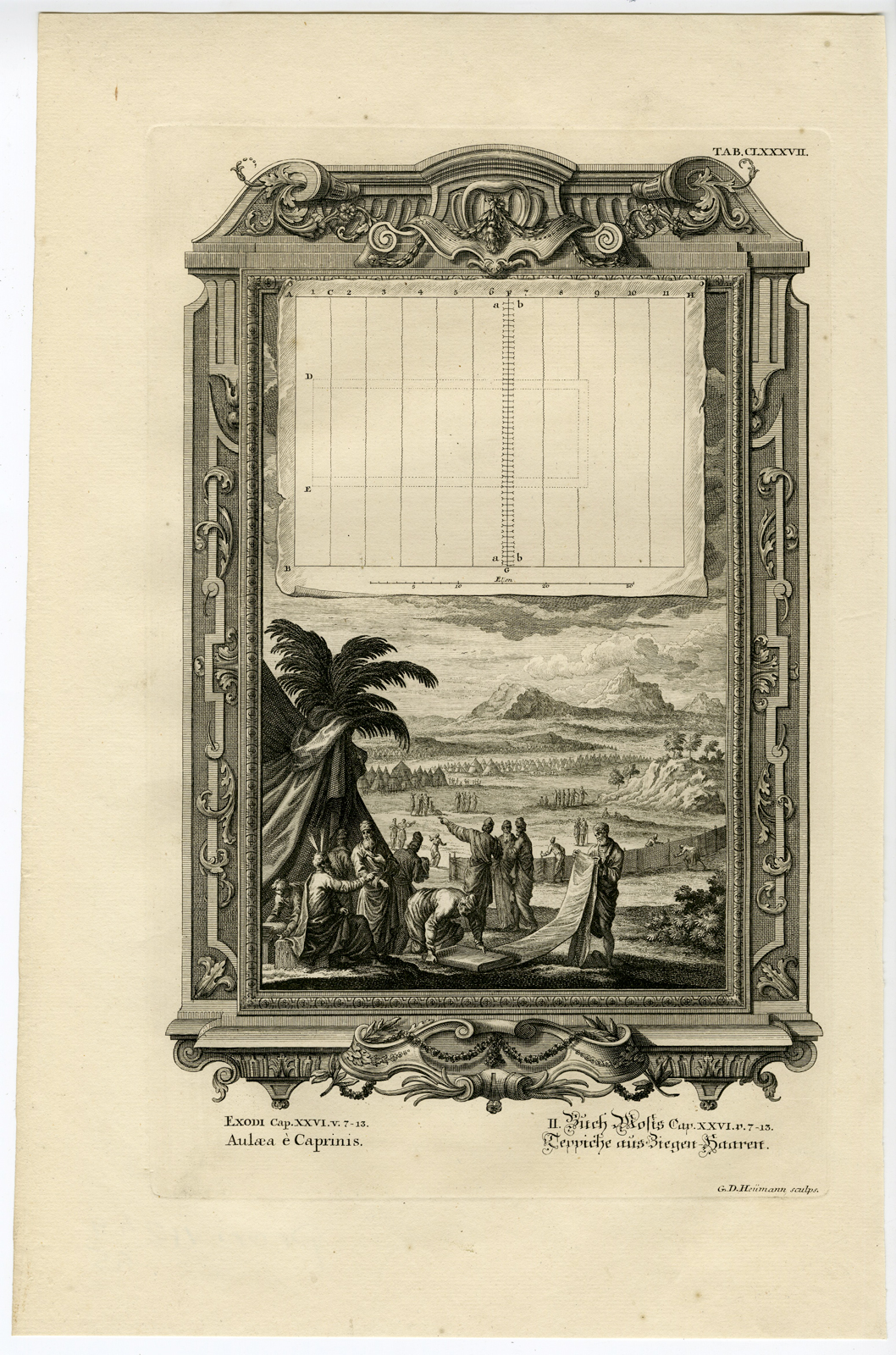 , Antique Print-TABERNACLE-CURTAINS-GOAT HAIR-TAB.CLXXXVII-Scheuchzer-c.1731, Pictura Antique Prints