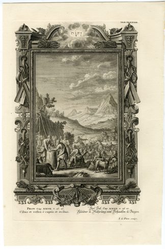 Antique Print-SHEEP-GOAT-LAMB-FOOD-CLOTHING-TAB.DLXXXIII-Scheuchzer-c.1731
