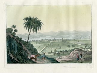 Antique Print-HARBOR-LANDSCAPE-MEXICO CITY-PL.LXXXVI.-Ferrario-Fumagalli-c.1827