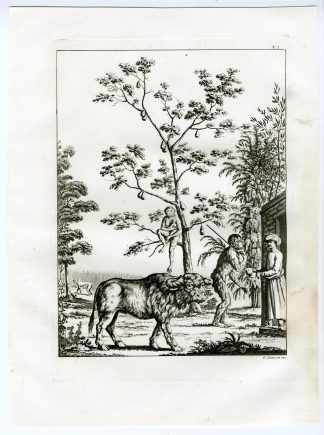 Antique Print-INDIA-AGRICULTURE-ANIMALS-PL.I-Ferrario-Zancon-c.1827