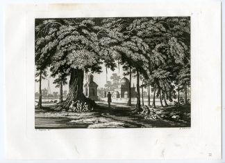 Antique Print-INDIA-BANYAN-FICUS TREE-FLORA-PL.IV.-Ferrario-Zancon-c.1827