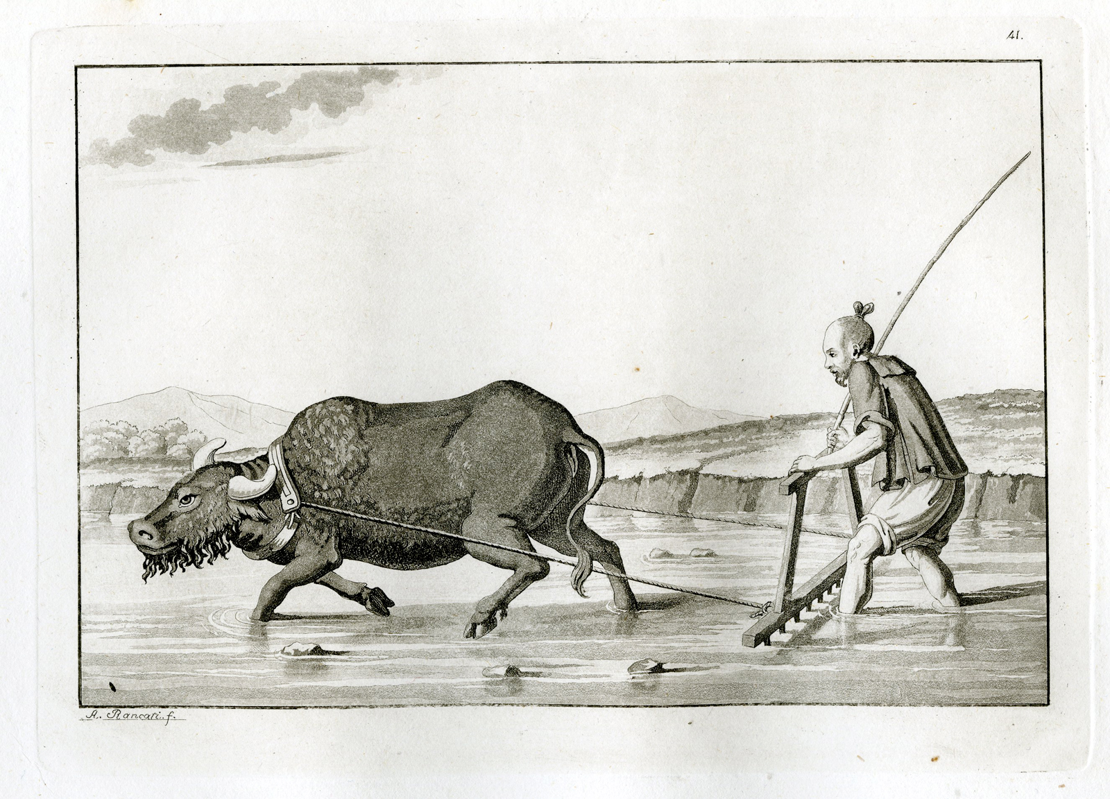 Pco 15081 416x300 Antique Print-AGRICULTURE-TRADITIONAL-CHINA-PL.XLI.-Ferrario-Rancati-c.1827