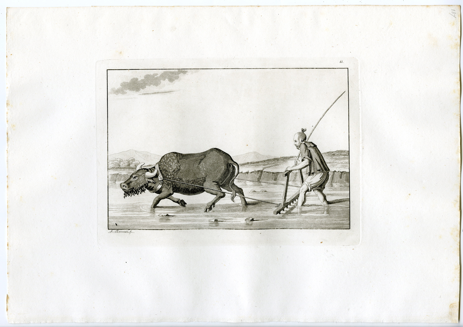 Pco 15082 416x294 Antique Print-AGRICULTURE-TRADITIONAL-CHINA-PL.XLI.-Ferrario-Rancati-c.1827 - Image 2