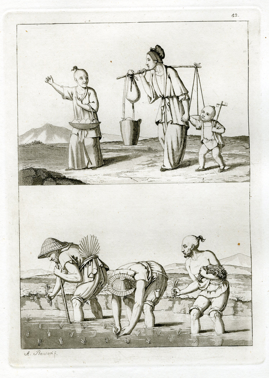 , Antique Print-RICE-AGRICULTURE-CHINA-PL.XLII.-Ferrario-Rancati-c.1827, Pictura Antique Prints