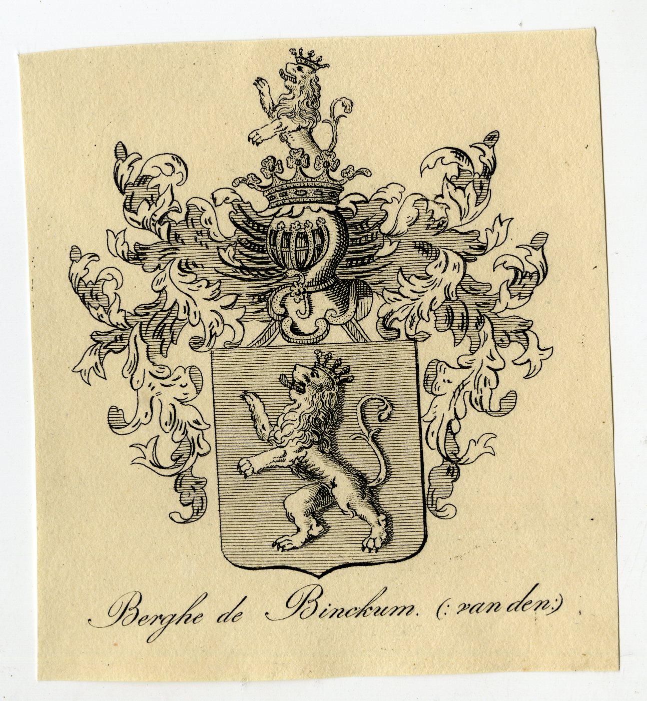 , Antique Print-COAT OF ARMS-FAMILY CREST-VAN DEN BERGHE DE BINCKUM-Weleveld-1830, Pictura Antique Prints