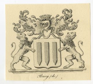 Antique Print-COAT OF ARMS-FAMILY CREST-DE BRICIJ-BRIKIJ-Weleveld-1830
