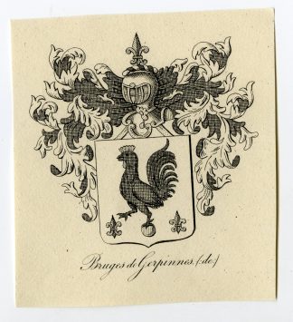 Antique Print-COAT OF ARMS-FAMILY CREST-DE BRUGES-DE GERPINNES-Weleveld-1830