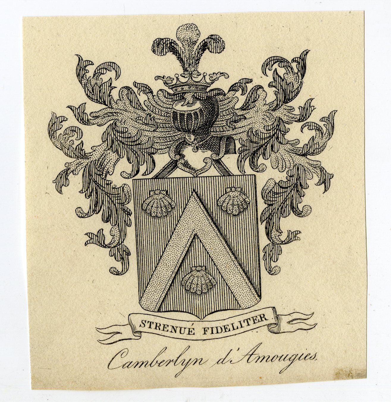 , Antique Print-COAT OF ARMS-FAMILY CREST-CAMBERLYN D’AMOUGIES-Weleveld-1830, Pictura Antique Prints