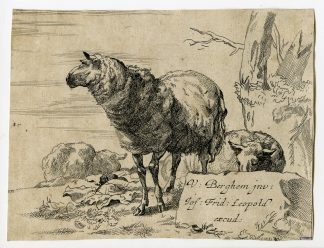 Antique Master Print-TITLE PLATE-SHEEP-Berchem-Leopold-c.1690