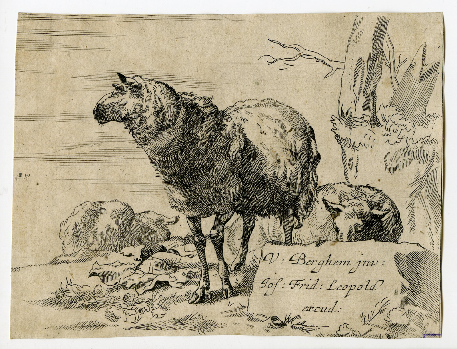 , Antique Master Print-TITLE PLATE-SHEEP-Berchem-Leopold-c.1690, Pictura Antique Prints