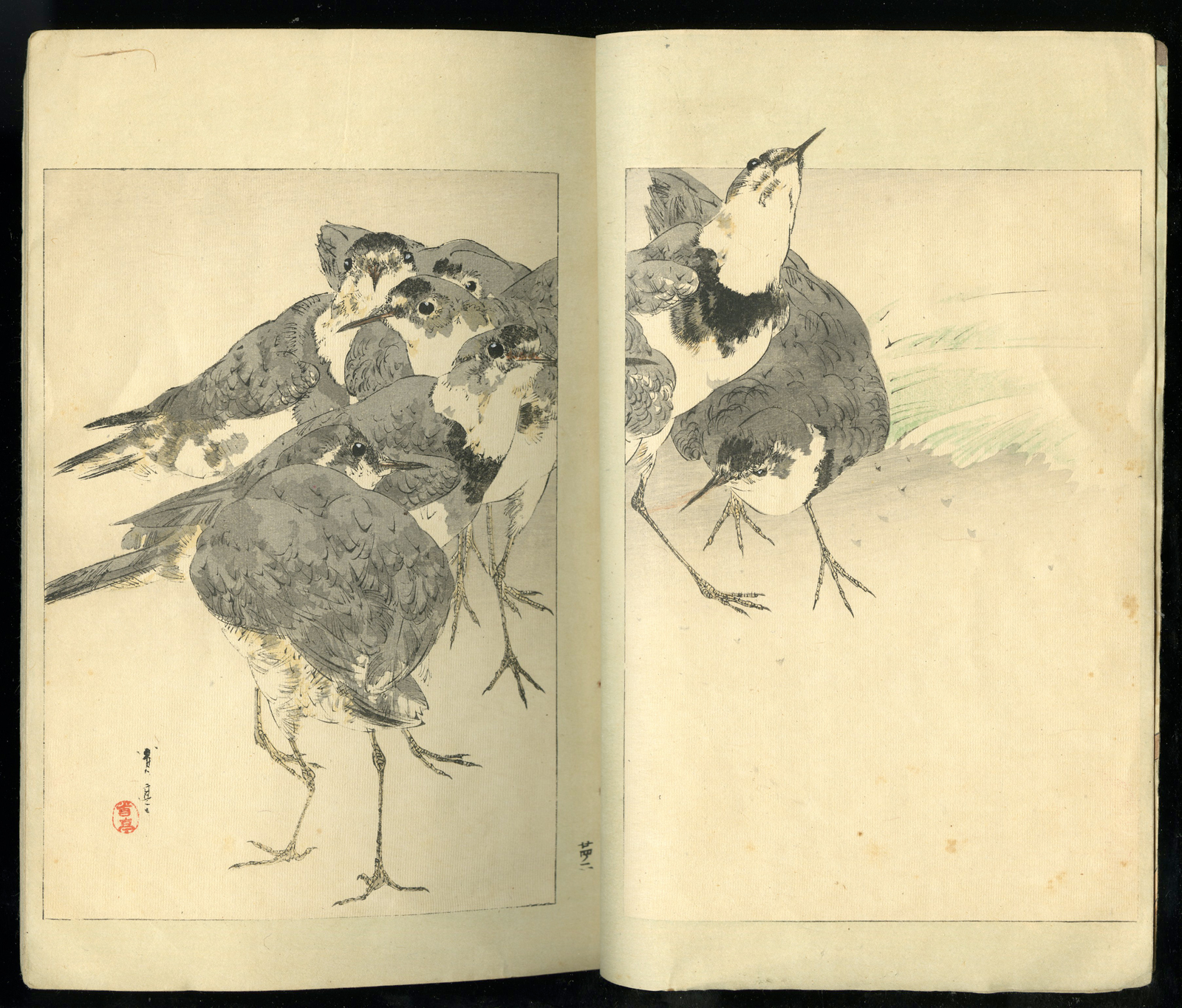 , Antique Print-JAPANESE BOOKLET WITH BIRDS AND PLANTS-FLOWERS-Tokumizuya-1874, Pictura Antique Prints