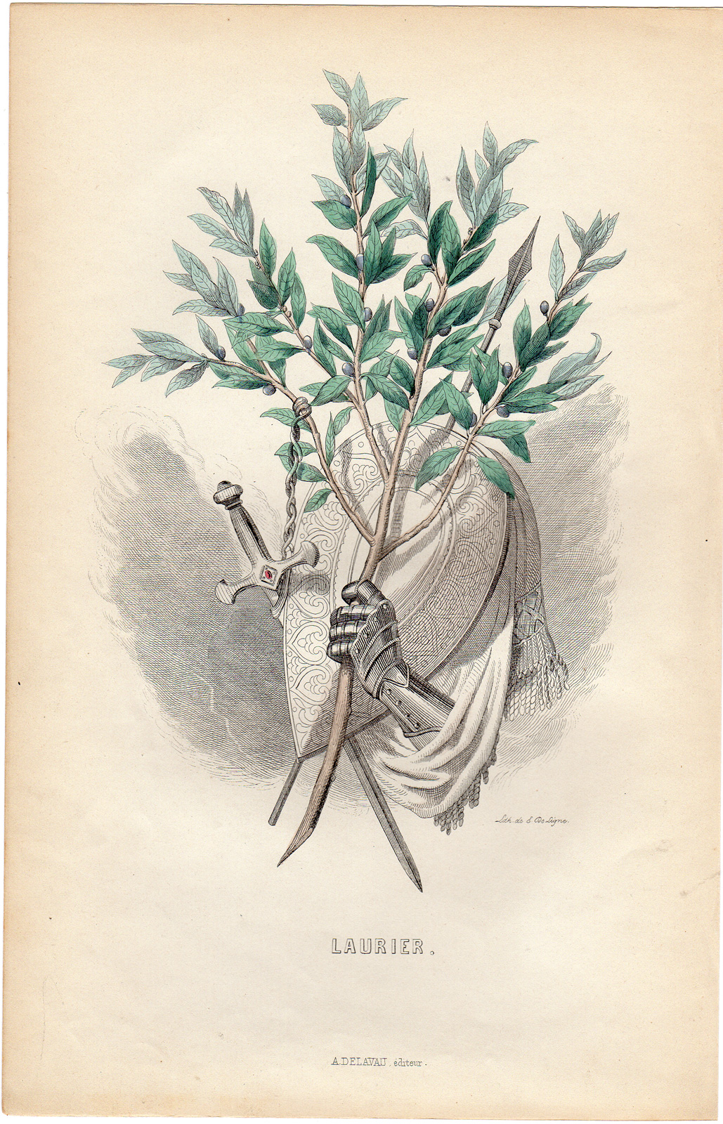 , Antique Print-FLOWERS PERSONIFIED-LAUREL-LAURIER-KNIGHT ARMOUR-Grandville-1852, Pictura Antique Prints