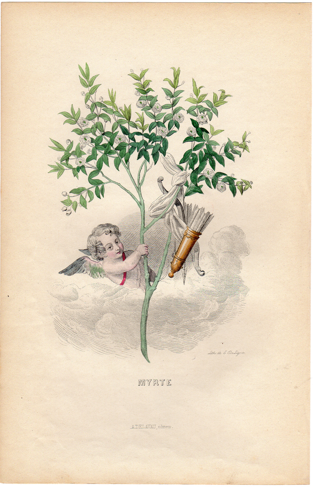 , Antique Print-FLOWERS PERSONIFIED-MYRTLE-CUPID-Grandville-1852, Pictura Antique Prints