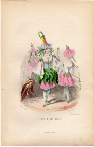 Antique Print-FLOWERS PERSONIFIED-GIRLS AS MIRABILIS-MARVEL PERU-Grandville-1852