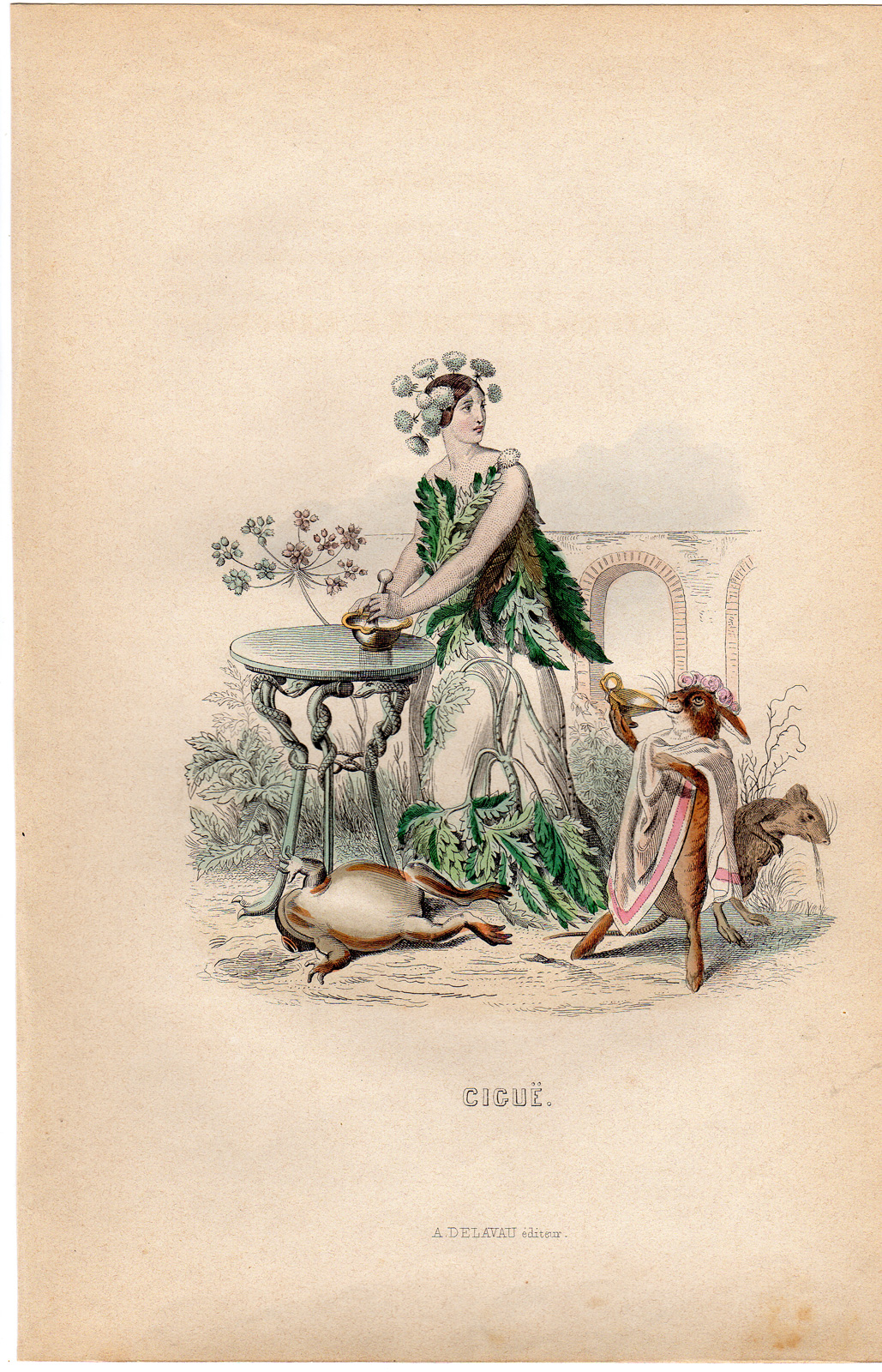 Pco 0719 416x647 Antique Print-FLOWERS PERSONIFIED-WOMAN AS POISON PARSLEY-CIGUE-Grandville-1852