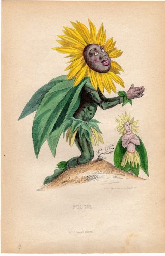 Antique Print-FLOWERS PERSONIFIED-SUNFLOWER-SUNBATHING-Grandville-1852