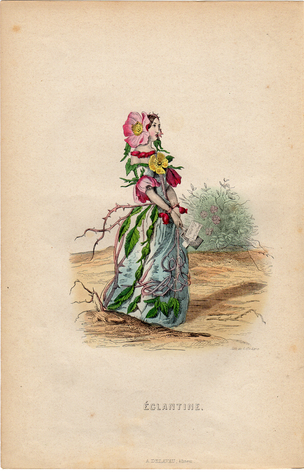 Pco 0723 416x647 Antique Print-FLOWERS PERSONIFIED-WOMAN AS DOG ROSE-ROSA CANINA-Grandville-1852