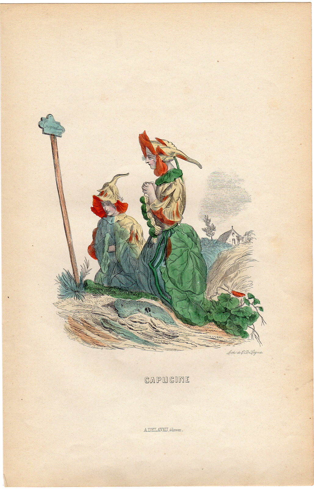 , Antique Print-FLOWERS PERSONIFIED-WOMAN-TROPAEOLUM-NASTURTIUM-Grandville-1852, Pictura Antique Prints