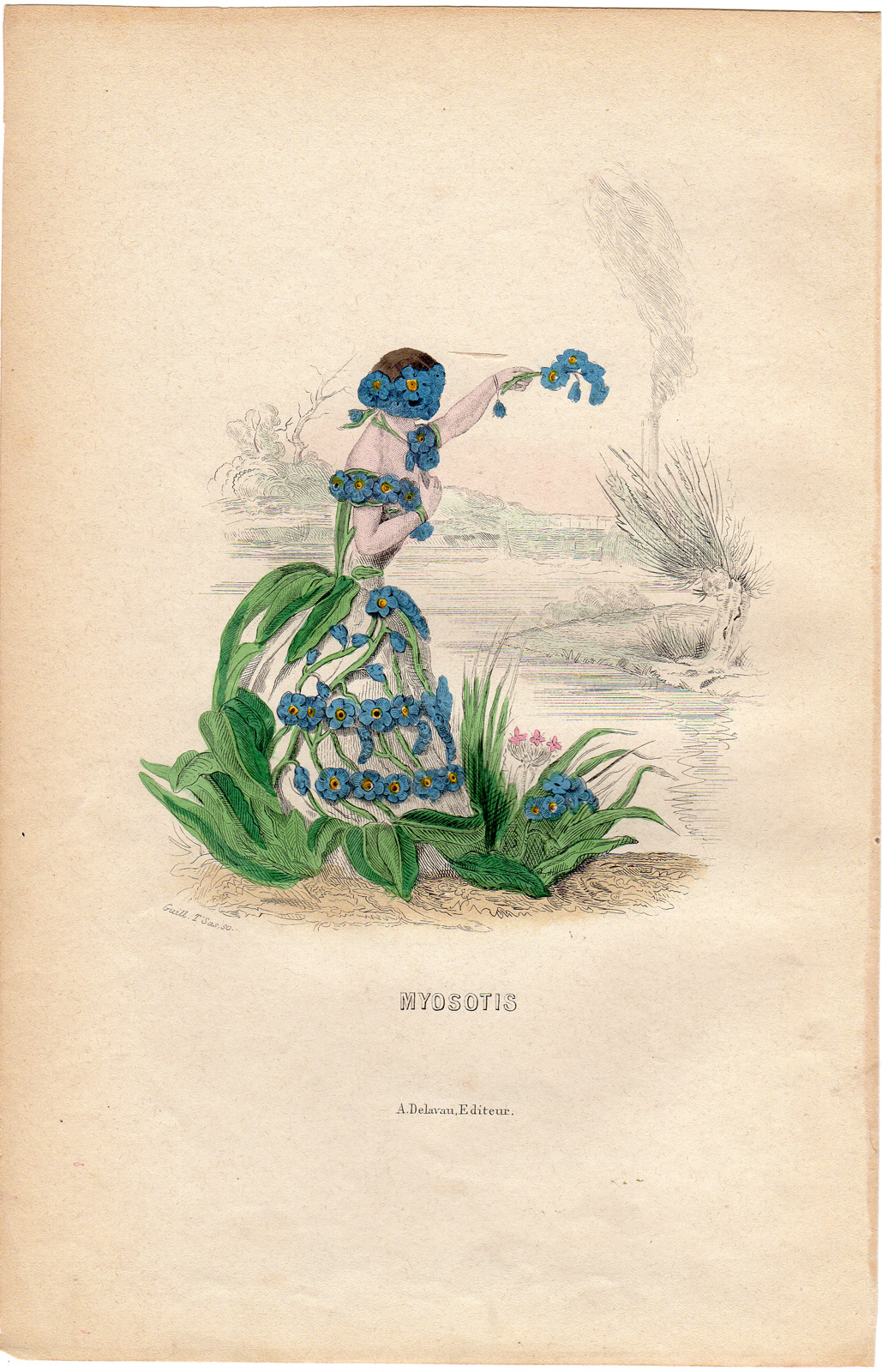 , Antique Print-FLOWERS PERSONIFIED-WOMAN AS FORGET-ME-NOT-Grandville-1852, Pictura Antique Prints