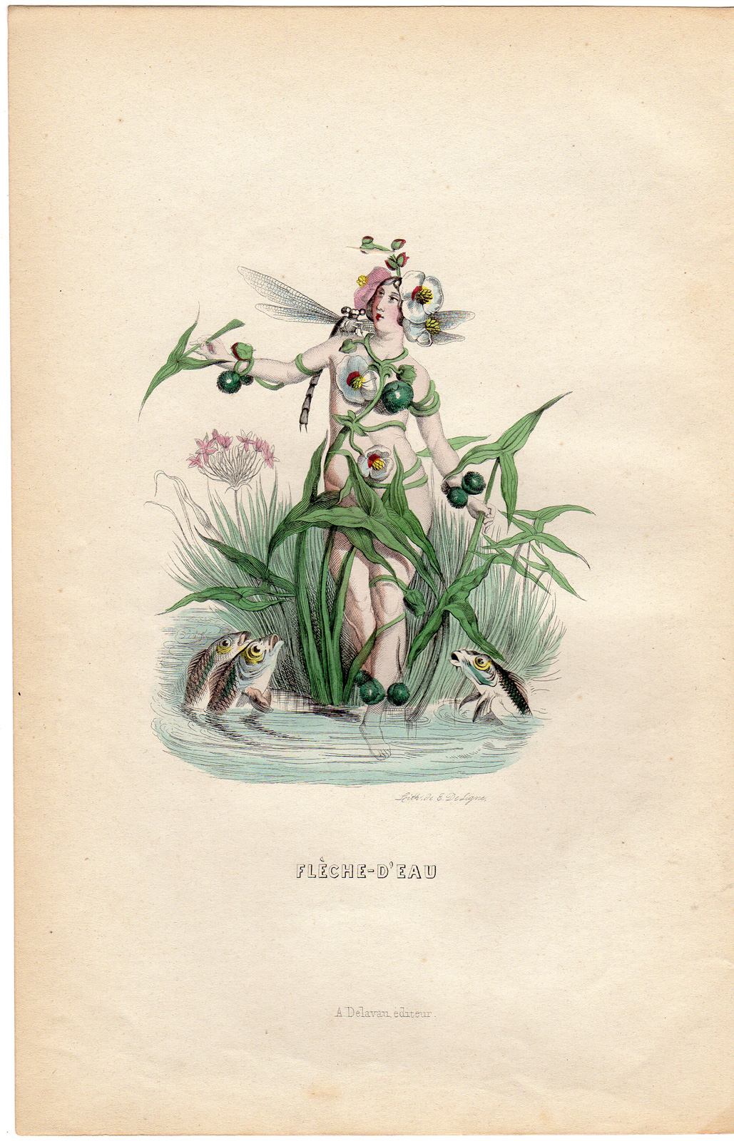 , Antique Print-FLOWERS PERSONIFIED-WOMAN AS SAGITTARIA-ARROWHEAD-Grandville-1852, Pictura Antique Prints