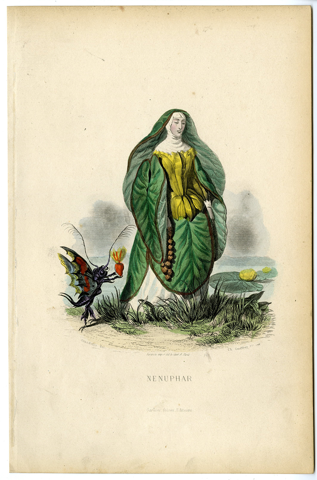 , Antique Print-FLOWERS PERSONIFIED-WATERLILLY-NENUPHAR-NUN. -Grandville-1852, Pictura Antique Prints