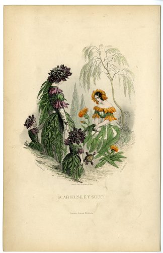 Antique Print-FLOWERS PERSONIFIED-WOMAN AS SCABIOSA-CALENDULA-Grandville-1852