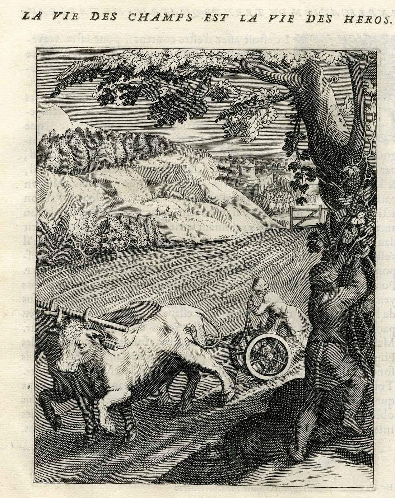 , Antique Print-COUNTRY LIFE IS PREFERABLE-OXEN-PLOUGH-GRAPES-Vaenius-Daret-1646, Pictura Antique Prints