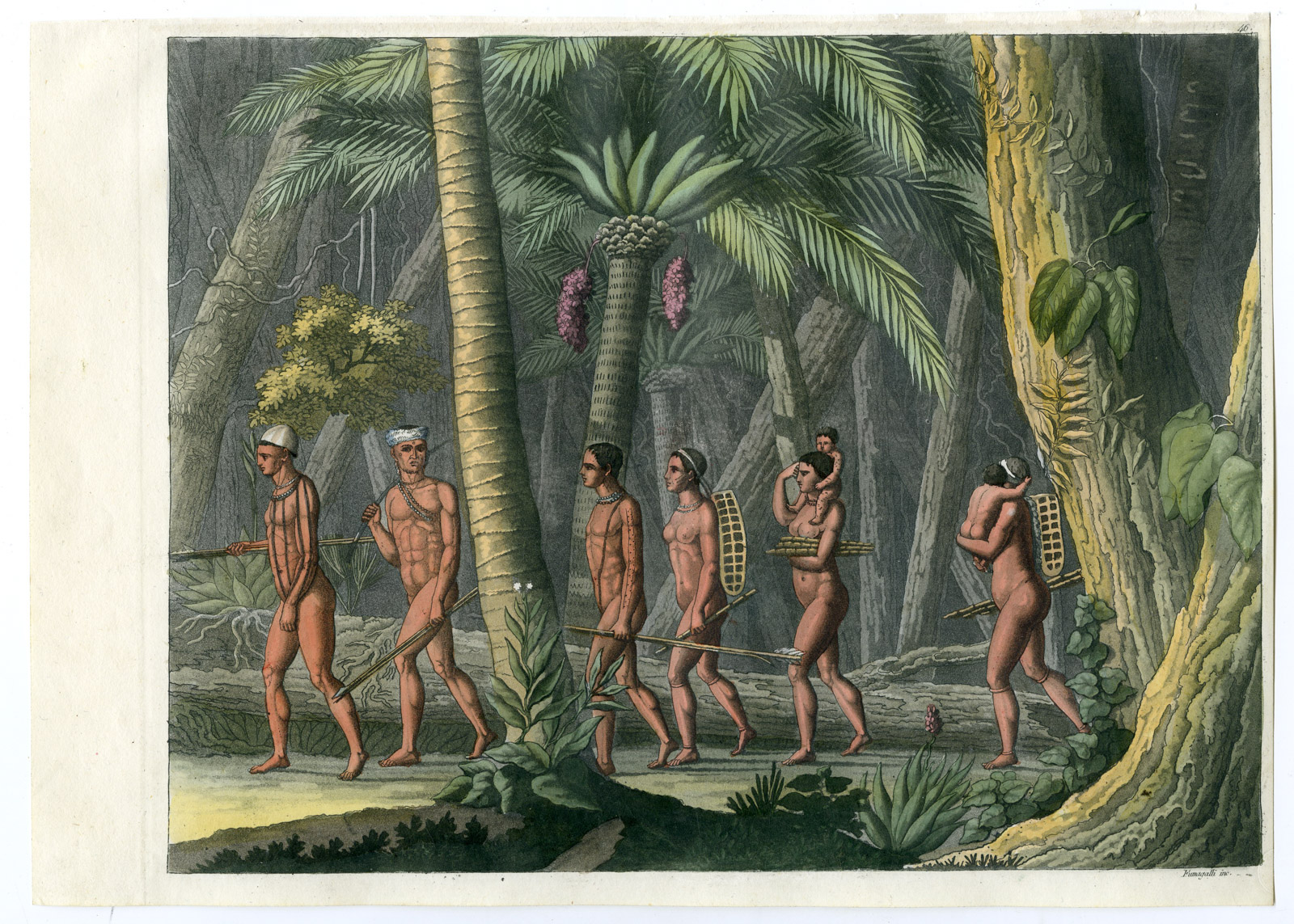 Pco 16869 416x297 Antique Print-PURI TRIBE-JUNGLE-BRAZIL-PL.46-Ferrario-Fumagalli-1821