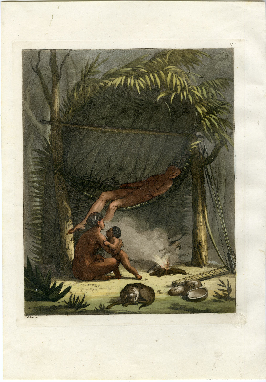 , Antique Print-PURI TRIBE-JUNGLE-CUARI-HUTS-BRAZIL-PL.47-Ferrario-Gallina-1821, Pictura Antique Prints